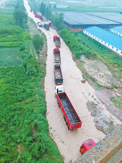 ���ϣ���ʦͻ��ɽ��&nbsp;�����󿨳�������