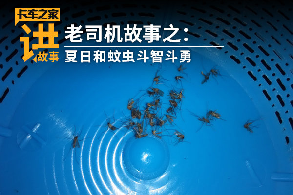 ����˾��������(91)���պ��ó涷�Ƕ���