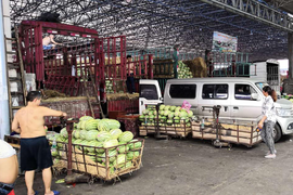 广西南宁刚摘的瓜一夜就能到长沙,高速公路见证中国速度