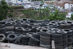 ��������֪ʶ��ʮ�������ʶ����̥��