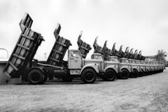 ˹�������ϳ��������й�Ԯ�����޵���ʷ