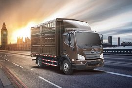 重载先锋 临沂南沃隆重举办福田ES3重载车型推广会