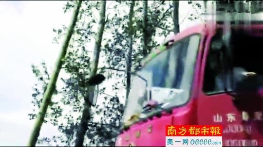 洪灾当前：寿光一村干部开卡车驶向洪水