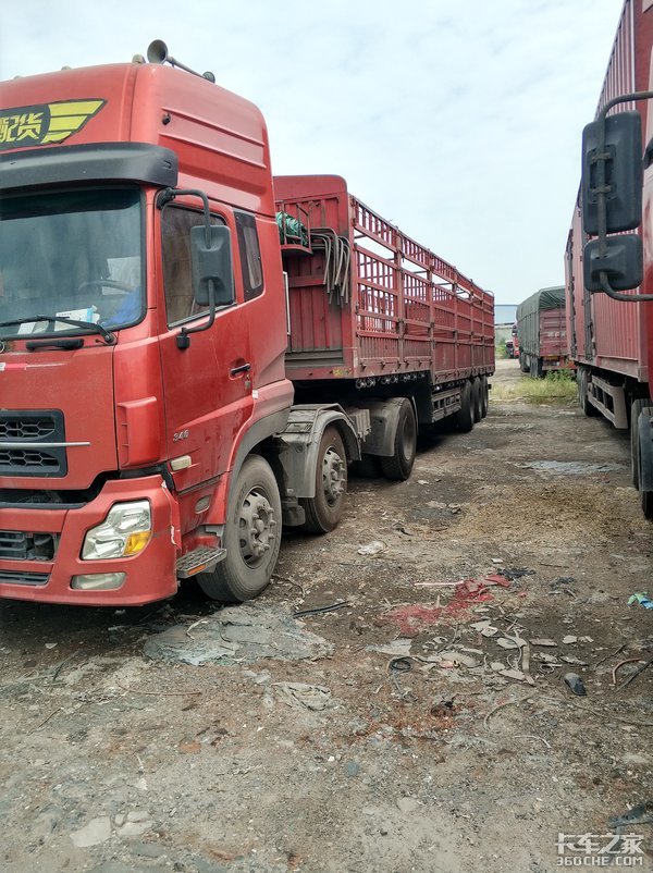 2����ٿ�6x2�����ⲻ��ȴ��������