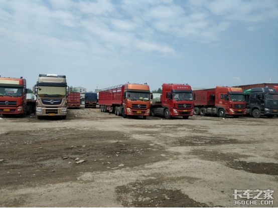 2����ٿ�6x2�����ⲻ��ȴ��������