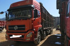 ���Ի͹�������������������������20��