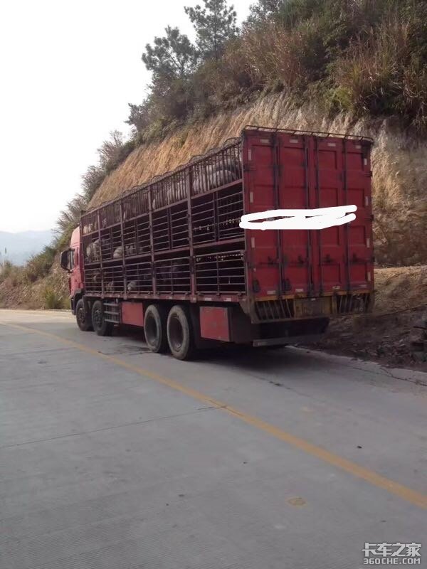 曾经辉煌一时，福建闽北地区生猪运输这20年