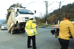 �Ҷ����������Ῠ���ص�һ��С����