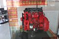 订车29台 台州奥铃新品上市会