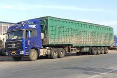 ����·�ڳ��޾�׼ʶ�� �����Ǳ𱧽���