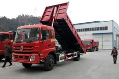 ����16��Ԫ ʮ�߹�֦������ж��������