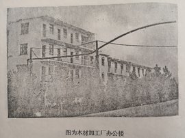 从木材加工厂到年入15亿元 东风延锋40余年蝶变为哪般