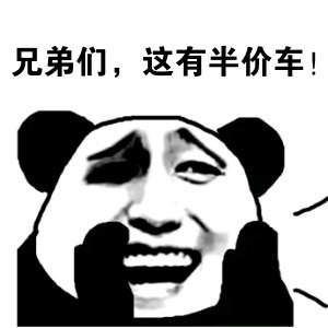 这是大家选出来的车,瞧好了!今年的双11活动半价买车!