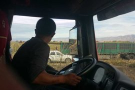 电视剧都不敢这么演！卡车司机一句话，捡到一个19岁的姑娘做新娘