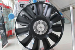 ���������¡������ȱ�ţ�������Ͷ���