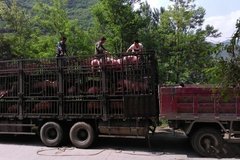 淘汰国三 守卫蓝天