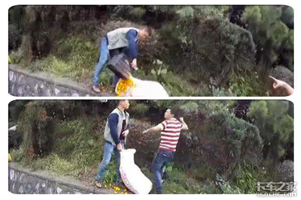 卡车司机见证哄抢事件 警察都束手无措