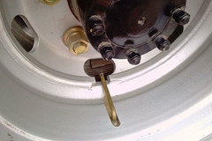 ѧ�������У�һ���ϳ����̥����ͨ��̥