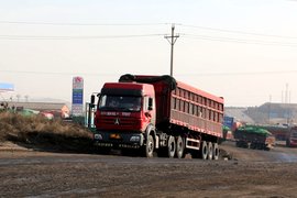 权钱交易！百吨王交了钱就不查 一晚能收一百万