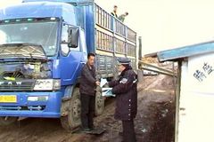 ��ȭ���� ��Ӽ������ϲ齻ͨΥ����Ϊ