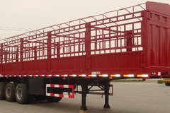 ����Ϋ�� �´���������תΪ��������