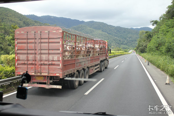 ����:���������&nbsp;�������ܡ���ɫͨ����