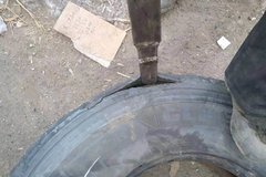 ����������̥������ɶ����������Աˣ��