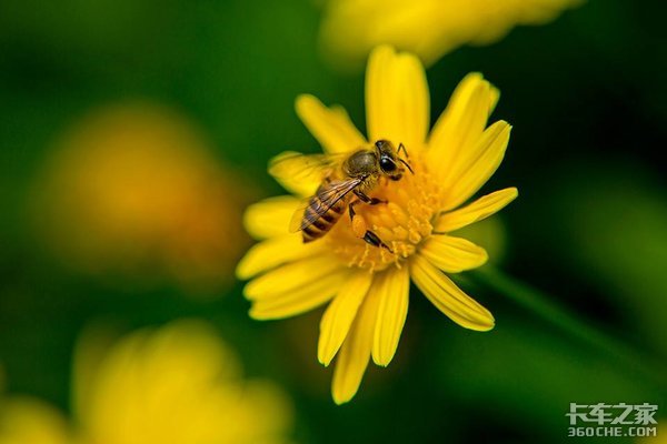 卡车人:做个好司机,更要做个好父亲