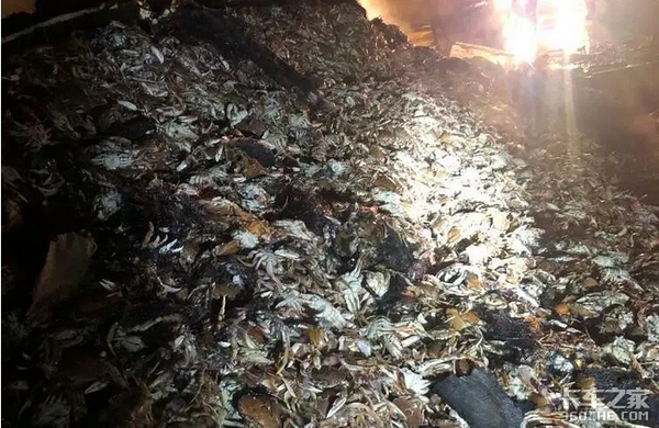 2起冷藏车自燃原因如出一辙,该如何处理这颗“定时炸弹”?
