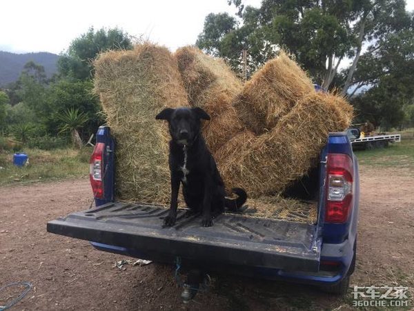 ������ͨMAXUS&nbsp;T60���������������