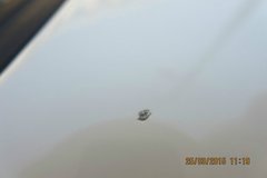 ����ඣ��ű��ڵ���ע�⣬С�����˰���