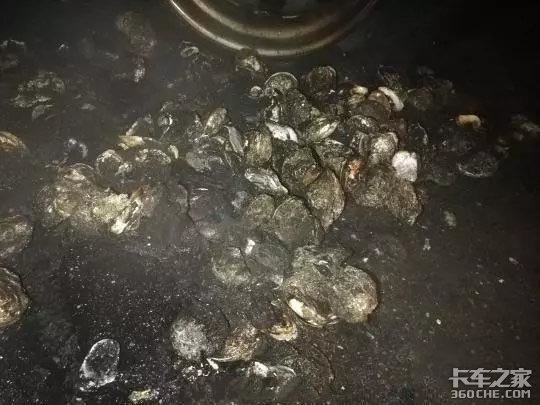 追尾后只顾找手机、赔偿谈不拢竟撞死人 1月份奇葩事故集锦