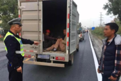 ����Υ����13�ˣ�˾��ֻ��Ħ�г����գ�