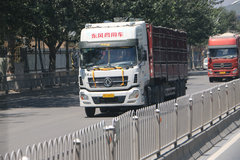 ���ڳ���ʮ�����ϰ�� ��֪��������