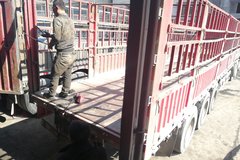 ���ʹҳ������ޣ����ѣ�̰С���˳Դ��