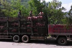 陪伴卡友 一起成长，卡家号精彩内容全回顾