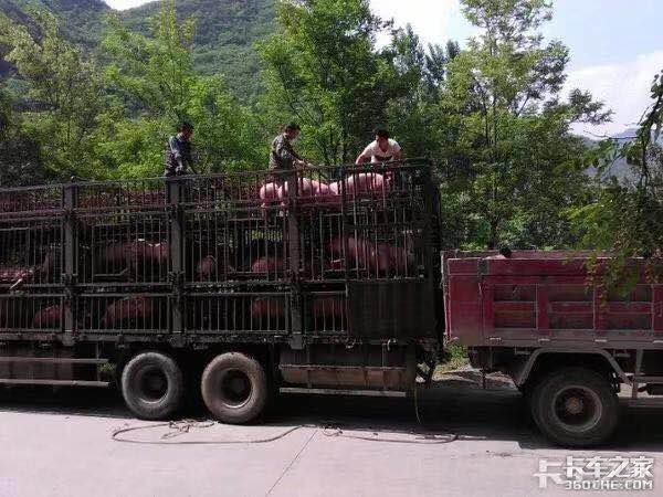 卡车司机：这些货一辈子都不想拉！