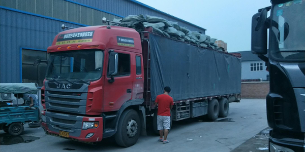 ���������͸�������ɳ�&nbsp;Ŀ���ڸ�Զ��