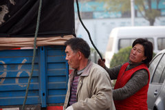 ����ǿ�ɩ��ʮ�˰㡰���ա�������ͨ