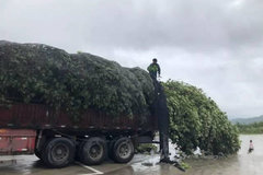 ˽�Ը�װ�����ްԡ������ʽ�����������