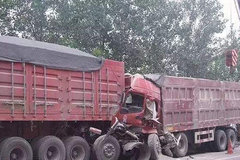 ����˾����֤�Ҷ��ݣ�������Ϊ��������