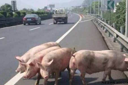 ����������Щ��ֱ��ײ&nbsp;ǧ��������