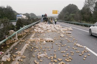 ���������Ļ������ٲ෭&nbsp;·��������Ԯ