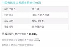 ��ծ��48�� ��������ĸ��˾�������Ʋ�