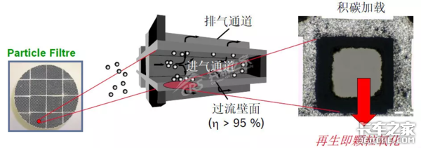 备战国六100天,赚钱从DPM开始