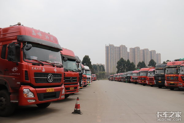 ���׸�����ҩ���Ƕ�ҩ��������������