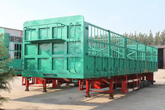 ��äĿ׷�����������ʺ��Լ��Ÿ�����