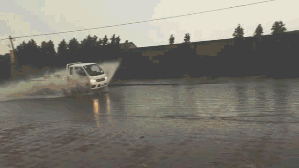 那一年,它离了江湖,一去不回头