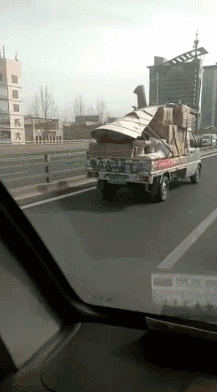 那一年,它离了江湖,一去不回头