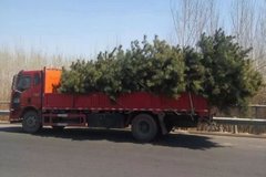 ������������Υ�£����������Ҫע�⣡